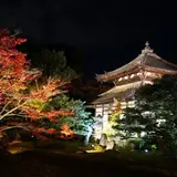 紅葉の隠れた名所「鹿王院 夜間特別拝観」開催！足利義満ゆかりの寺院がライトアップ