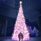 深川ギャザリアでクリスマスイルミネーション「冬の花見遊覧 in 深川ギャザリア」開催
