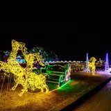 穴場デートにおすすめ！京都府立植物園で「イルミネーション2018」ミニコンサートも開催