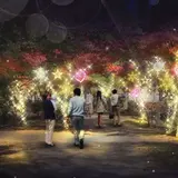 寺巡りの後はイルミネーションに酔いしれよう！【京都・冬の光宴2018】梅小路公園で開催
