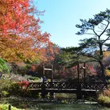 【インスタ映え】一足早い「紅葉」を見に行こう！夜の紅葉散策も同時開催