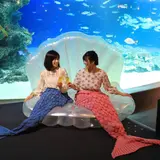 「海のクリスマスパーティー inサンシャイン水族館」開催！300名女性限定の貸し切り&一夜限りのイベント