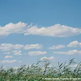 写真展開催！鈴木理策『知覚の感光板』かつて画家達が見たフランスや、アメリカの風景を捉え表現した作品