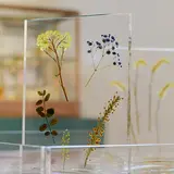 展示会開催！IDÉE Life in Art #48 外山翔『MOMENT』アクリルに草や花の美しさをとどめた作品