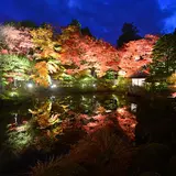 逍遥園ライトアップがスタート！ 日光全山の“もみじコレクション”を堪能しよう