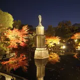 総本山知恩院「秋のライトアップ2018」開催！ライブやショー、お坊さんに会える“#ナムい”イベントも！