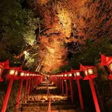 京都洛北の紅葉が幻想的にライトアップ「第16回 京の奥座敷・貴船もみじ灯篭」 が開催