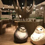 動物カフェOPEN！原宿で行列のできるお店が横浜中華街に登場
