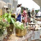 「第4回 柏の葉 蚤ノ市」開催！イギリスのCARBOOT SALEをイメージして約40店舗が集結