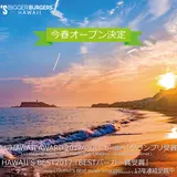 湘南にハワイNo.1バーガー【テディーズビガーバーガー(TEDDY'S bigger burgers)】が今春初上陸！