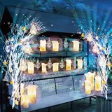 無数の反射と輝く色彩のイルミがテノハに登場！「TENOHA Christmas Fes 2018」開催