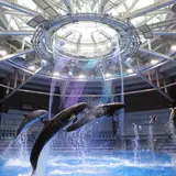 雪と氷の幻想世界「SNOW AQUARIUM」開催！デジタルアートで水槽展示や夜のドルフィンパフォーマンスが演出