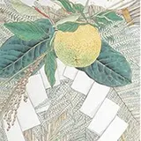 展覧会開催！絵や技術が真似され継承されていくことを伝える中尾美園『うつす、 うつる、』