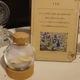 展示会開催！嗅いを楽しむ『におい展』貴重な香料や激臭アイテムなどなかなか嗅げない匂いを体験しよう