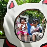 企画展開催！人と風景と猫たちの写真が並ぶ『尾道イーハトーヴ猫祭り2018フォトコンテスト 写真展』