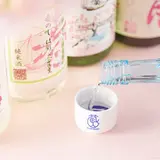 100種類以上の日本酒集結「SAKE FESTIVAL 2019」開催！人気飲食店に限定酒も