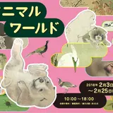 魅力的な日本画の動物を間近で見られる企画展【アニマルワールド】加島美術で開催