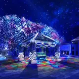 ネイキッドが描く、輝きと海の物語「ヨコハマミライト ～みらいを照らす、光のまち～」開催