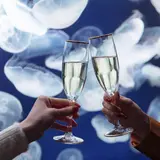 「海のクリスマスパーティinサンシャイン水族館」開催！ゆったりとした時間が流れる贅沢空間を貸切
