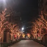 「真紅の光街～日本橋～」開催！街を江戸小紋の刺繍で紅く照らす幻想的なイルミネーション