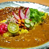 大阪・京都のカレーの名店が大集合【滋賀竜王 カレーフェスタ】開催！
