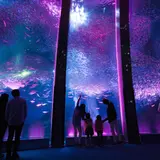 横浜・八景島シーパラダイスで新感覚お花見イベント【SAKURA ISLAND 2018】