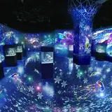 水族館が彩りをまとった海のスノウドーム「NAKED SNOW AQUARIUM」開催！幻想的な“冬の遊び場”