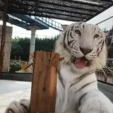 岡山の池田動物園は今年で開園67周年！入園料の半額サービスや来園プレゼントなどイベント満載