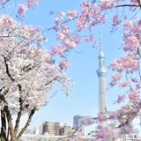 東京スカイツリータウン（R）にて春休みイベントを開催！お花見気分を楽しめるスポットやアトラクションが登場