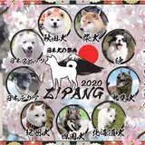 「日本犬の祭典ZIPANG2020」開催決定！わんちゃんとオーナー様どちらも大満足のイベント