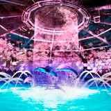 海の生きものたちと桜舞う花見の宴へ！マクセルアクアパーク品川にて「NAKED SAKURA AQUARIUM」開催