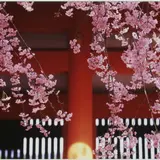 林忠彦氏の最後の作品が並ぶ写真展【東海道】キヤノンギャラリー大阪で開催