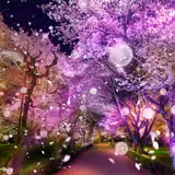 NAKEDが描く光のアートが世界遺産元離宮二条城＆本物の桜とコラボ！幻想的な空間を楽しもう
