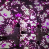 期間限定でアート空間が桜に！裸足で超巨大な作品の中に身体ごと没入“水に入るミュージアム”