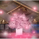 最新テクノロジーが生み出すお花見！【桜とエンターテインメントの饗宴】大阪ハービスPLAZA/PLAZA ENTで開催