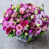 福岡が鮮やかな花で彩られる！「西鉄グループ×ニコライバーグマン」タイアップ企画が開催