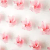 那須ガーデンアウトレットで夏の涼と失われた春の思い出を！「SAKURA KAZAGURUMA-WALL」開催