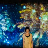 世界遺産で花火アート公開！『二条城×ネイキッド夏季特別ライトアップ2020』でコロナ収束を願う