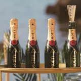 1日10組限定！「MOËT＆CHANDON PoolSide SkyTerrace」で屋外ビアガーデン