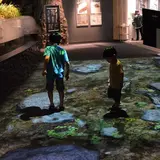 デジタル技術やクイズで世界最大級の両生類“オオサンショウウオ”を楽しく学ぶ！京都水族館でイベント開催