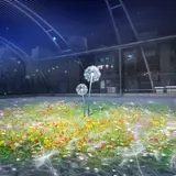 タンポポの綿毛が舞う！世界規模のプロジェクト型アート「Breath／Bless Project」