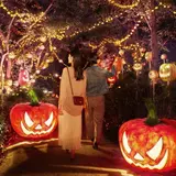 フォトジェニックなスポットやグルメに仮装でお得な特典も！ハウステンボスでハロウィーンイベントが開催