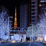 けやき坂のイルミネーションが今年も登場！街を彩る“SNOW＆BLUE”の約70万灯のLED