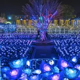 フォトジェニックな空間！日本三大イルミネーションに認定された500万球を超える光の世界を満喫
