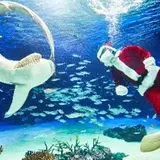 サンシャインシティで海外のクリスマスを体感！子どもから大人まで楽しめるイベントを開催