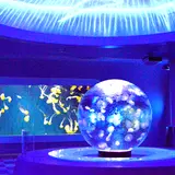 「新江ノ島水族館」で宝石をテーマにしたイベント開催！特別水槽にオブジェにフードメニューなど盛り沢山