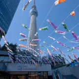 都内最大級のこいのぼりの群泳やパンフェス！東京スカイツリータウン(R)で初夏イベント開催