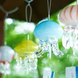 夏の風物詩“風鈴”を中心に様々なクラゲの魅力を伝える展示「京都水族館」で開催！夜のライトアップも