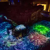夏の夜限定イベント「すみだ水族館」で開催！大人対象のクラゲのワークショップやペンギンと花火のコラボ