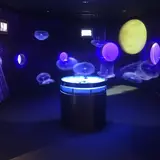 超人気クリエイターが手がける企画展『うみに咲く杜』仙台うみの杜水族館にて開催！